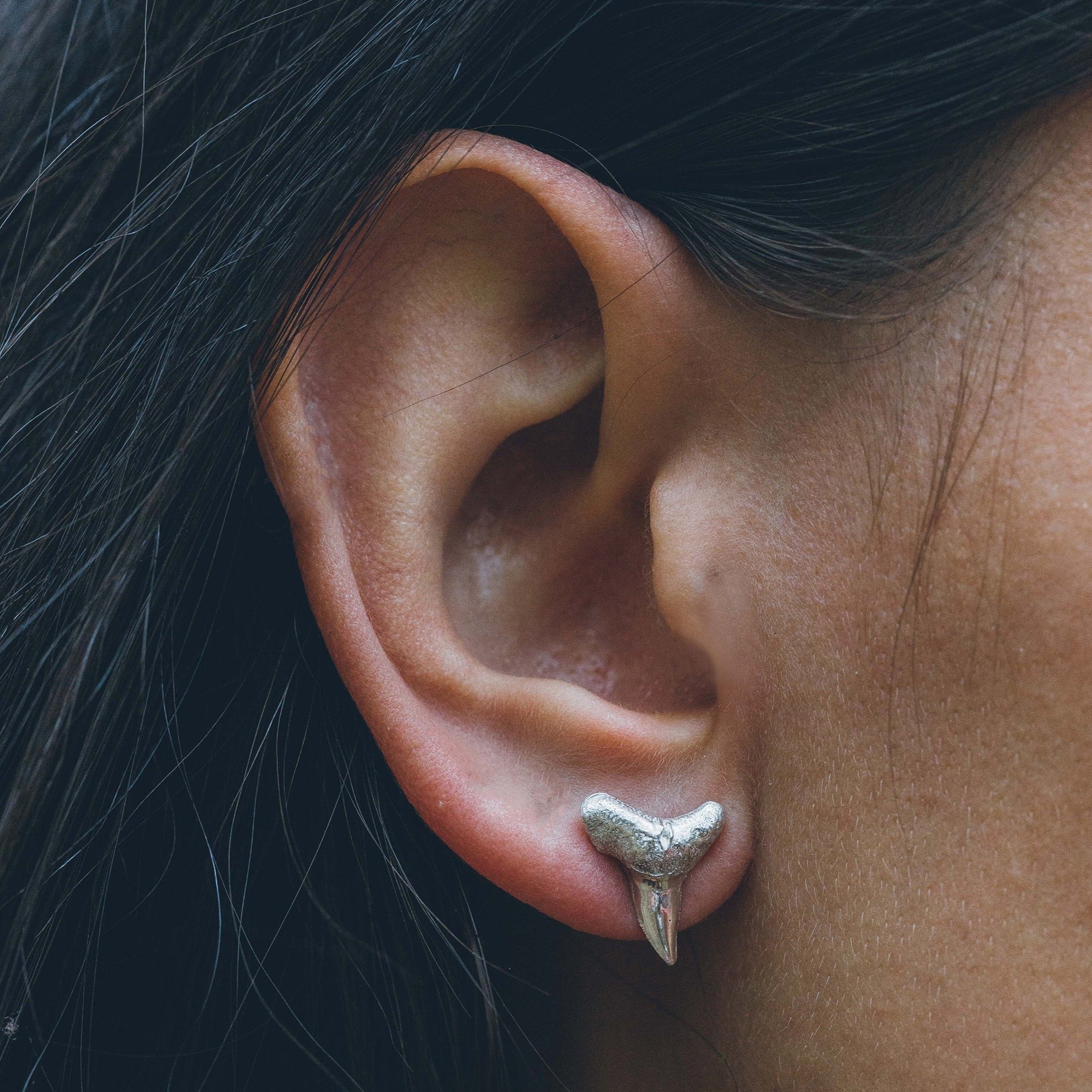 Tiny sharks tooth earrings