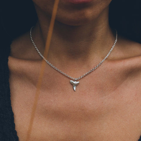 Tiny Sharks Tooth Necklace (Polished Silver)