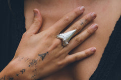 Large sharks tooth ring ~ (polished silver)