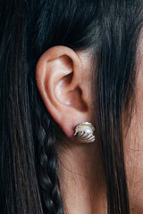 Clam shell pearl earrings ~ (Polished silver)