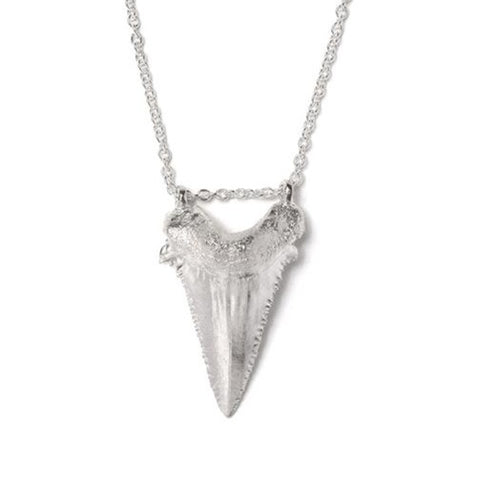Large Sharks Tooth Necklace (Polished Silver)