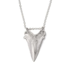 Large Sharks Tooth Necklace (Polished Silver)
