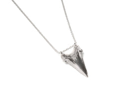 Large Sharks Tooth Necklace (Polished Silver)