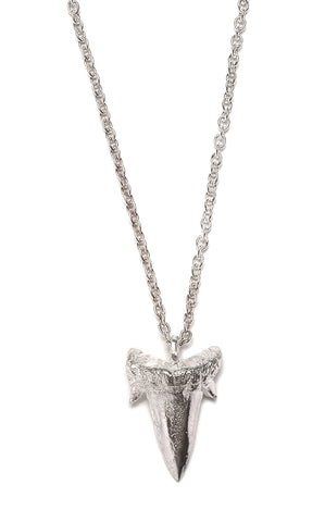 Small Sharks Tooth Necklace (Polished Silver)