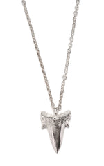 Small Sharks Tooth Necklace (Polished Silver)