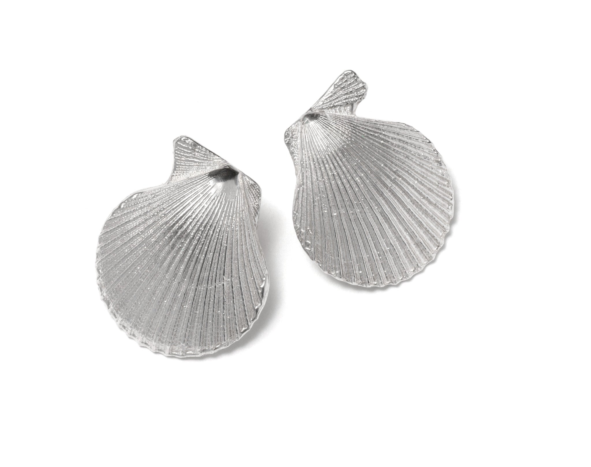 Pecten Nobilis Shell Earrings ~ (Polished silver)
