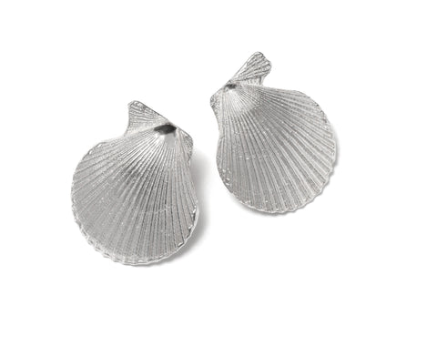 Pecten Nobilis Shell Earrings ~ (Polished silver)