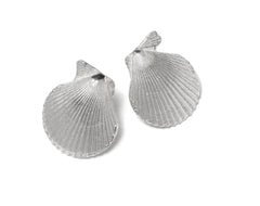 Pecten Nobilis Shell Earrings ~ (Polished silver)