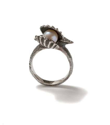 Venus shell pearl ring ~ (blackened silver)