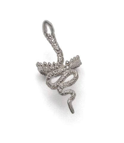 Snake ring ~ (polished silver)