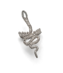 Snake ring ~ (polished silver)