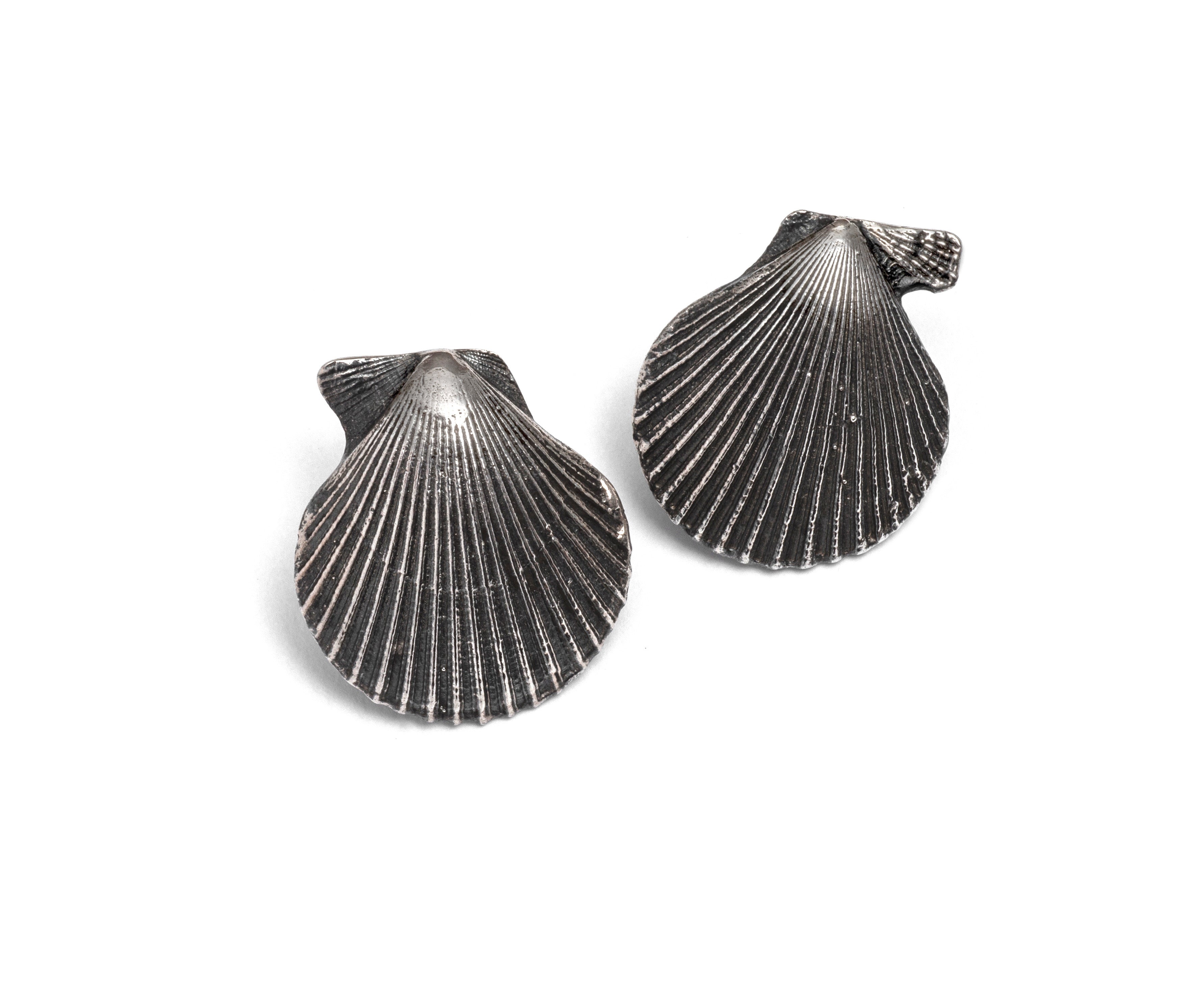 Pecten nobilis shell earrings ~ (Blackened silver)