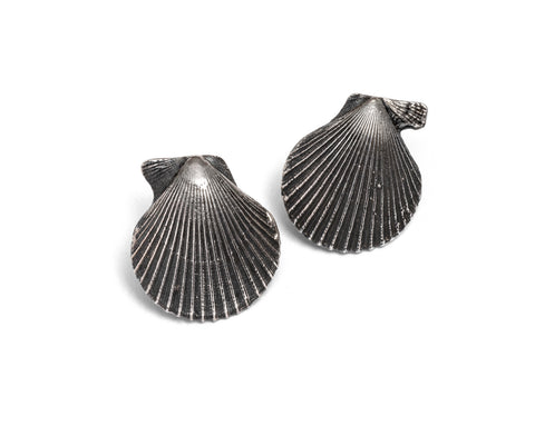 Pecten nobilis shell earrings ~ (Blackened silver)