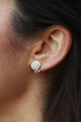 Clam shell earrings ~ (polished silver)