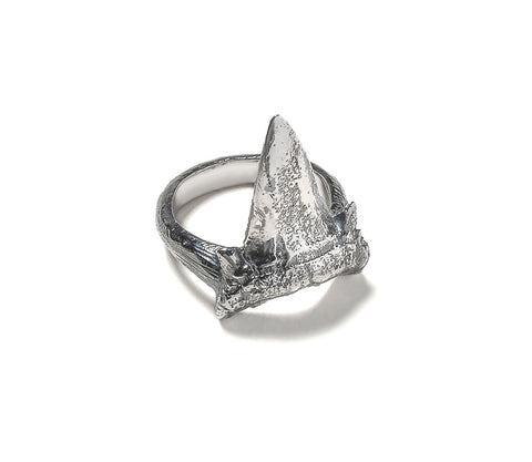 Small sharks tooth ring ~ (blackened silver)